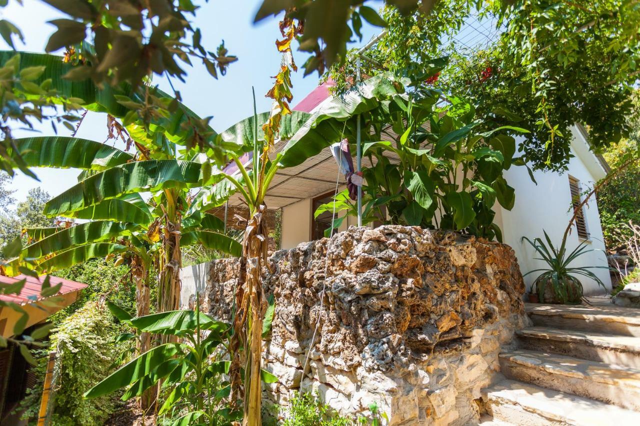 Relax Tiny Villas 40 Meters Of The Beach Zrnovo Exterior photo